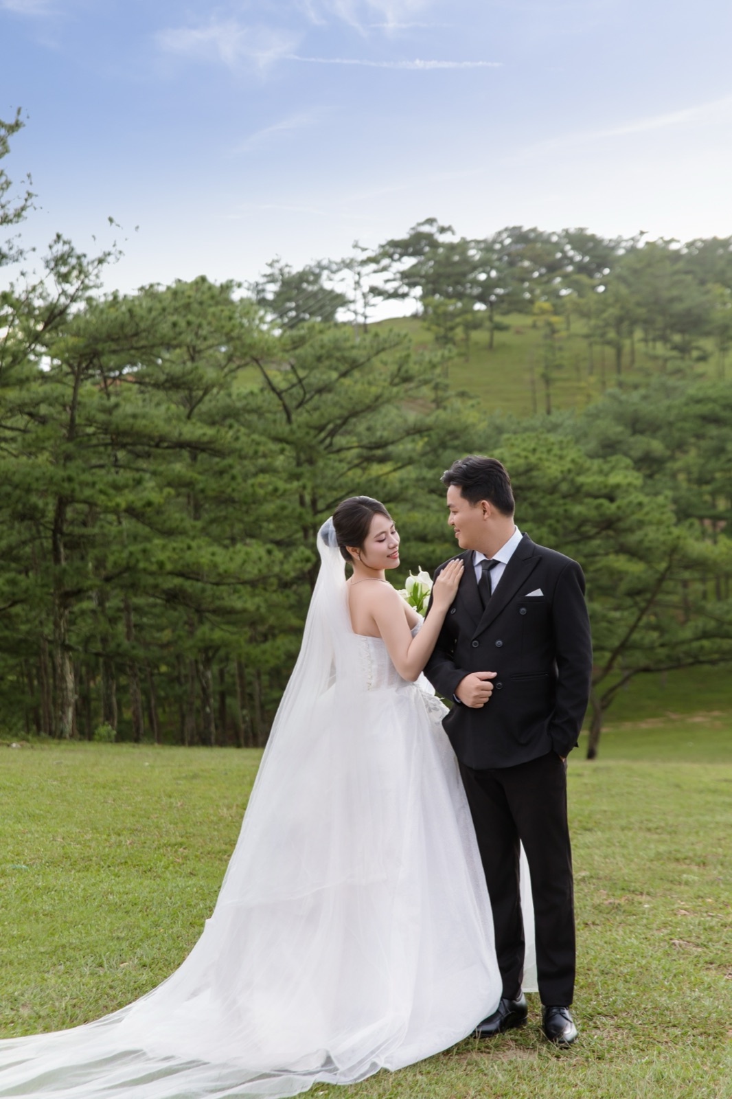 Ánh Mắt Trao Nhau Giữa Rừng Thông