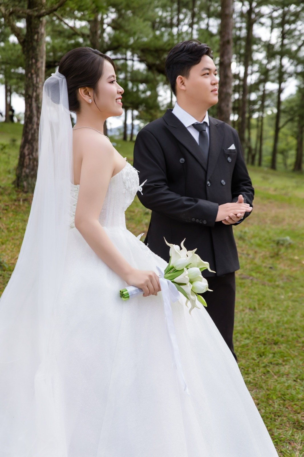 Tình Yêu Nở Hoa Giữa Đồi Xanh